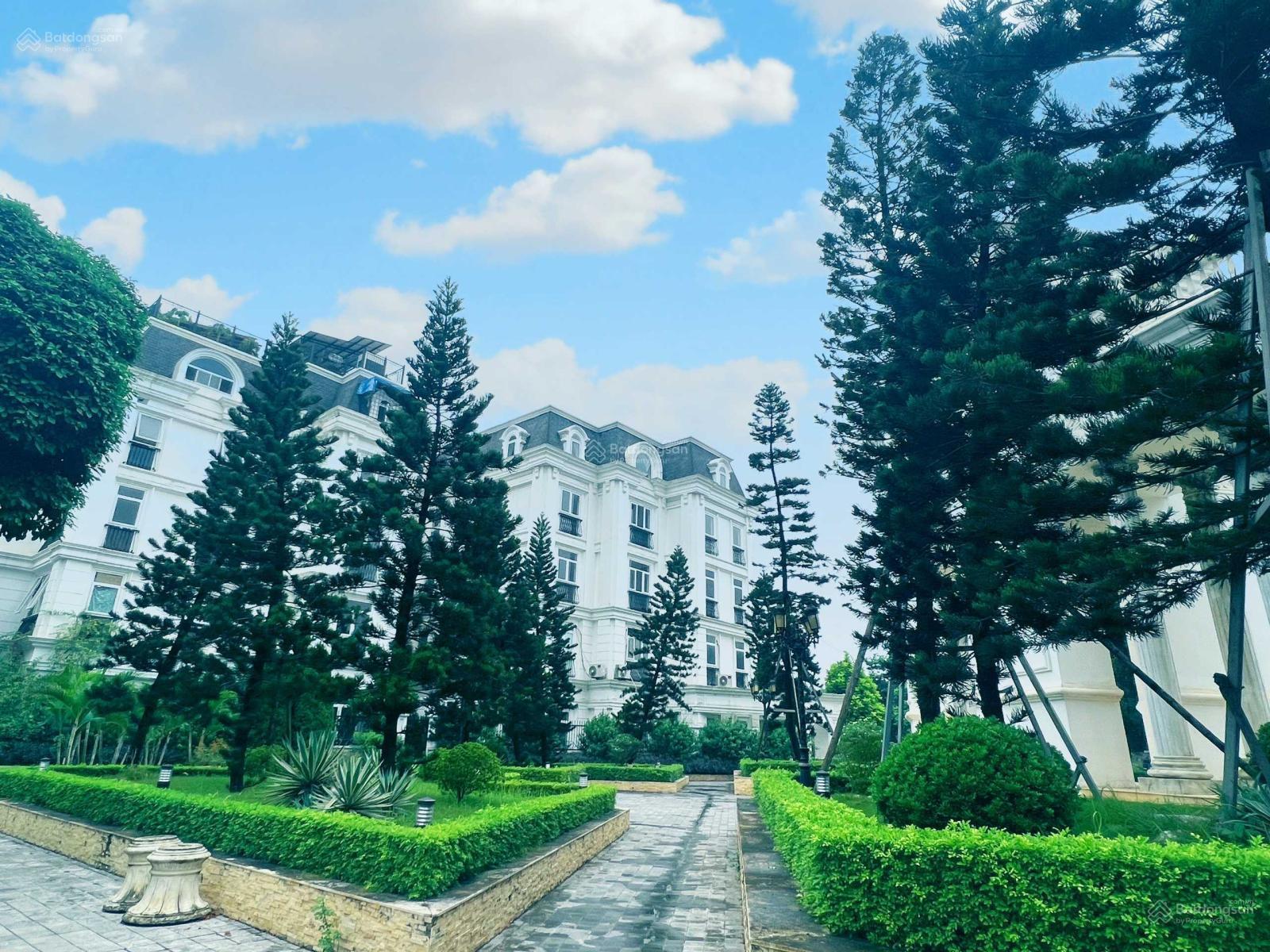 Louis City Đại Mỗ