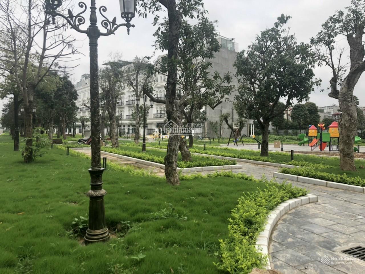Louis City Đại Mỗ