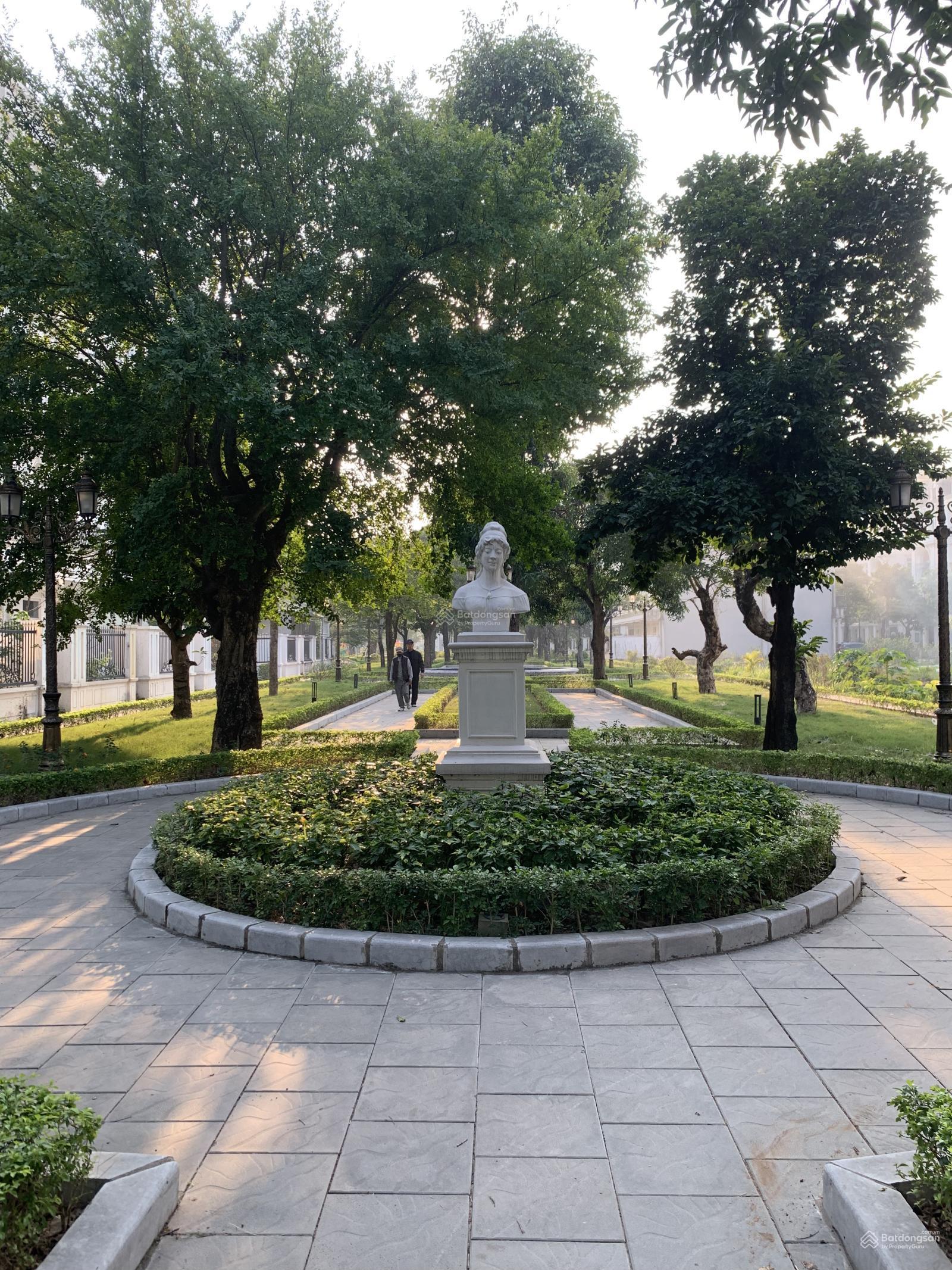 Louis City Đại Mỗ