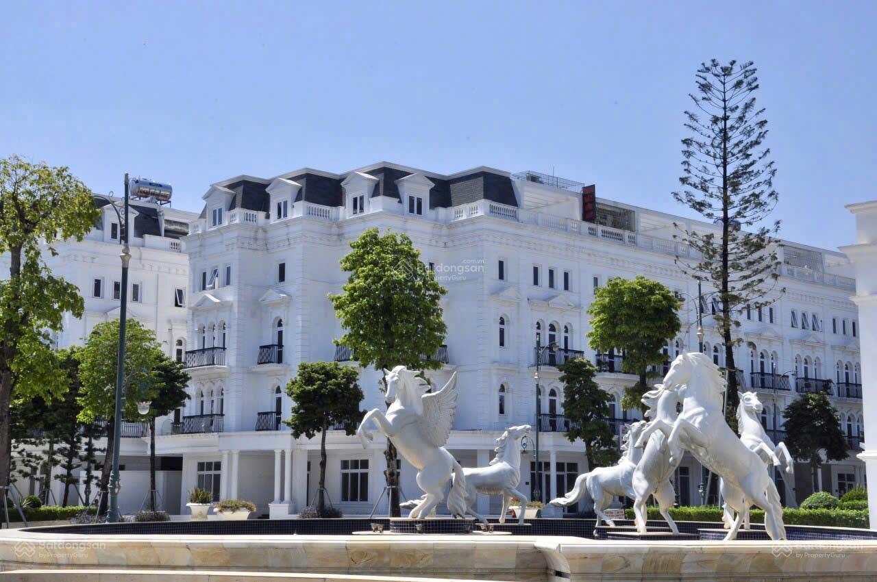 Louis City Đại Mỗ