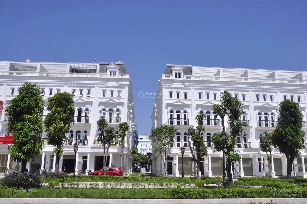 Louis City Đại Mỗ