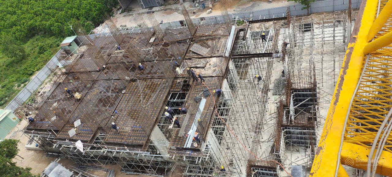 Logo Ngân hàng Chính sách xã hội hỗ trợ dự án