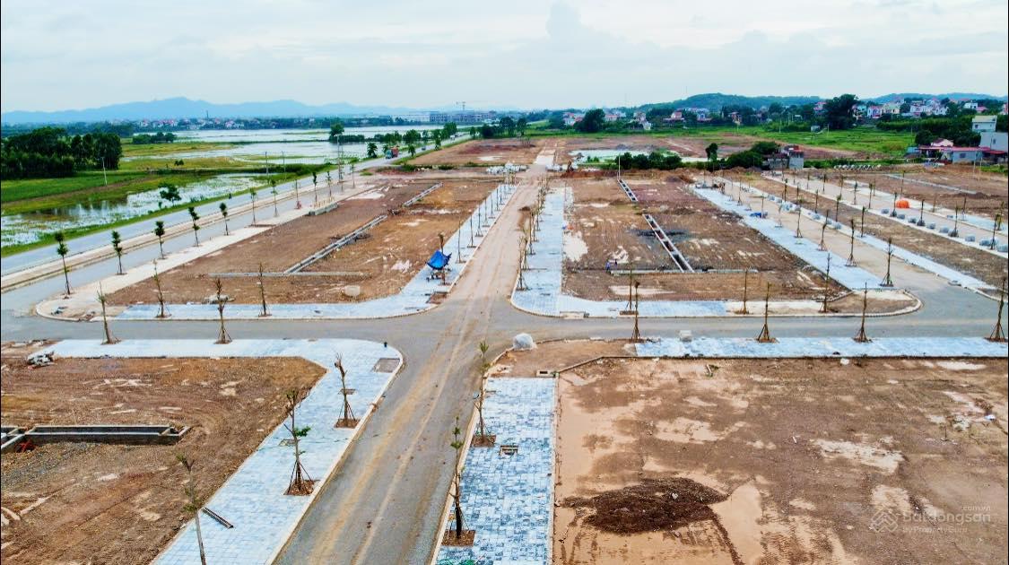 Central Avenue Lục Nam