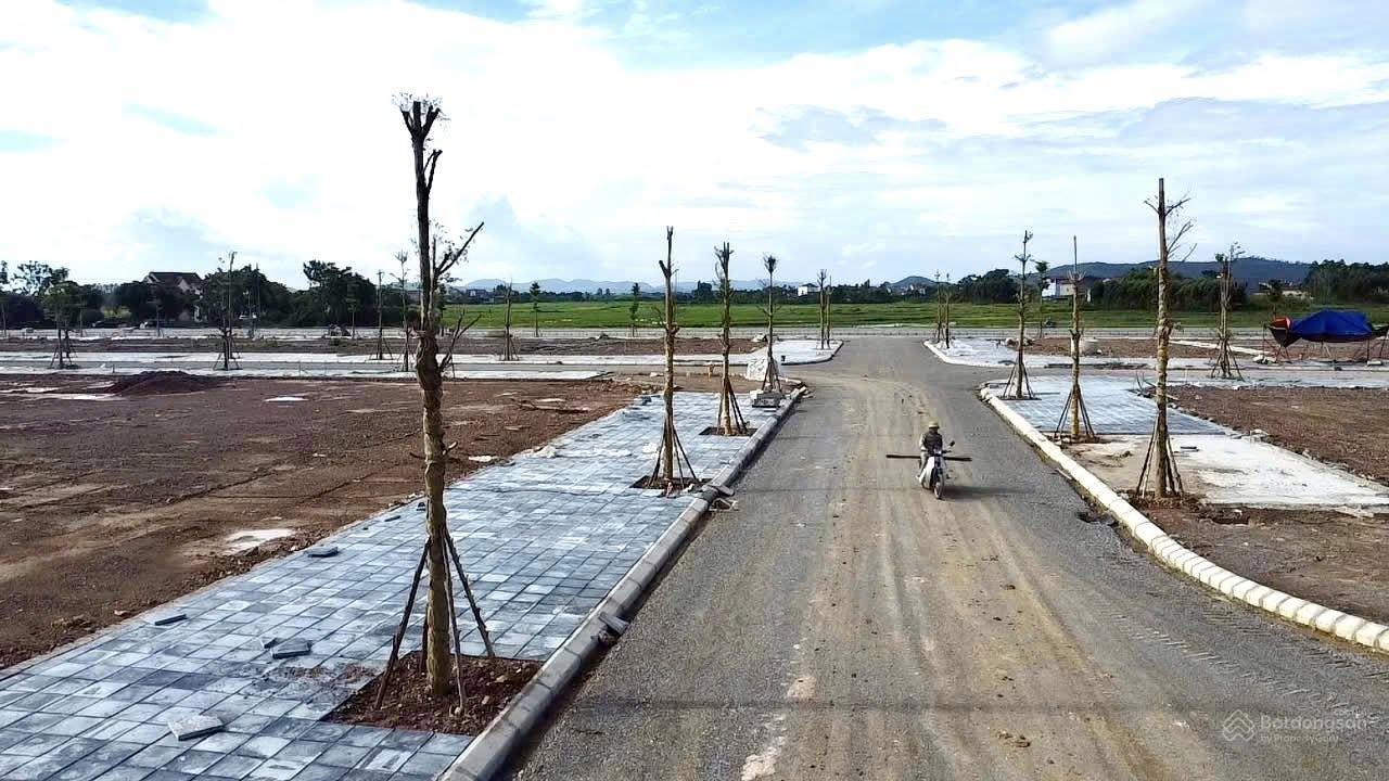 Central Avenue Lục Nam