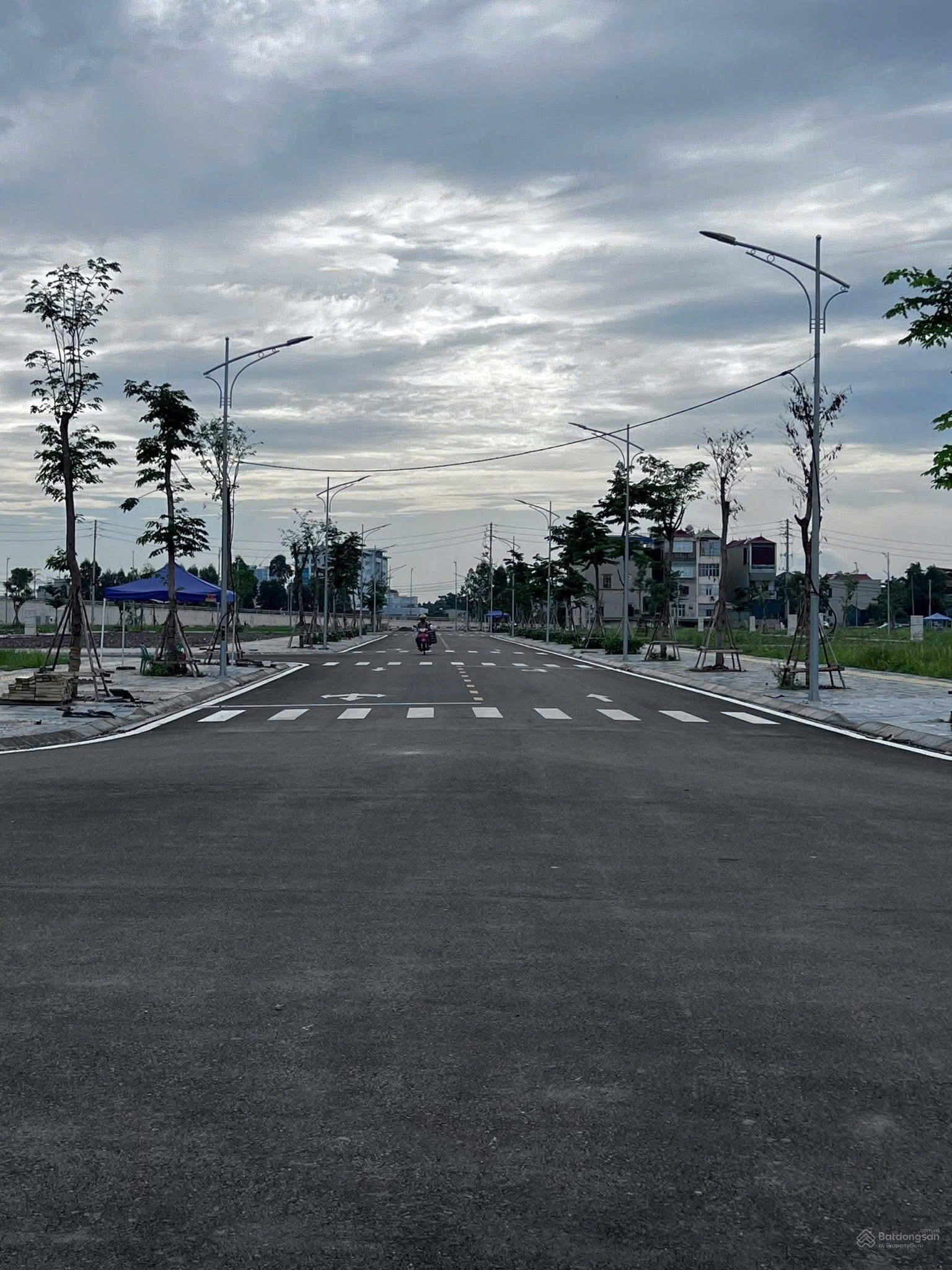 Tân Mỹ Avenue