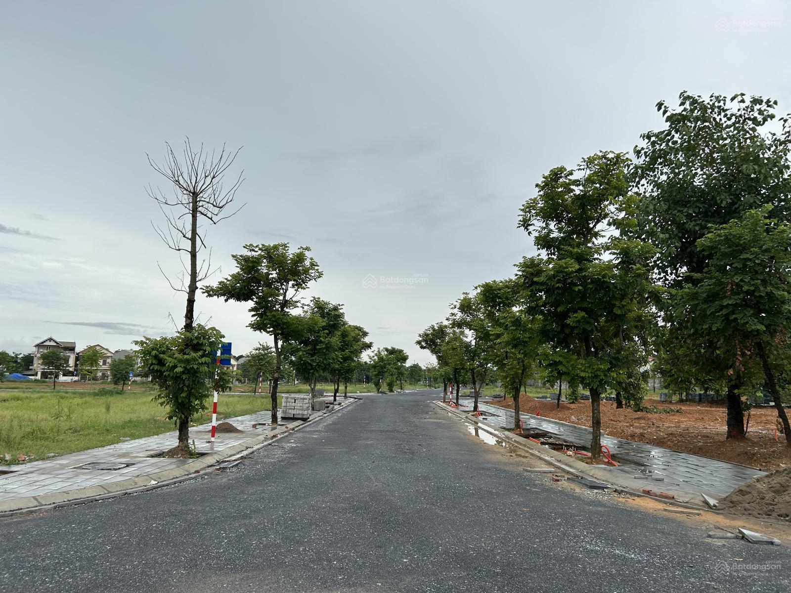 Khu nhà ở đô thị Nam Việt