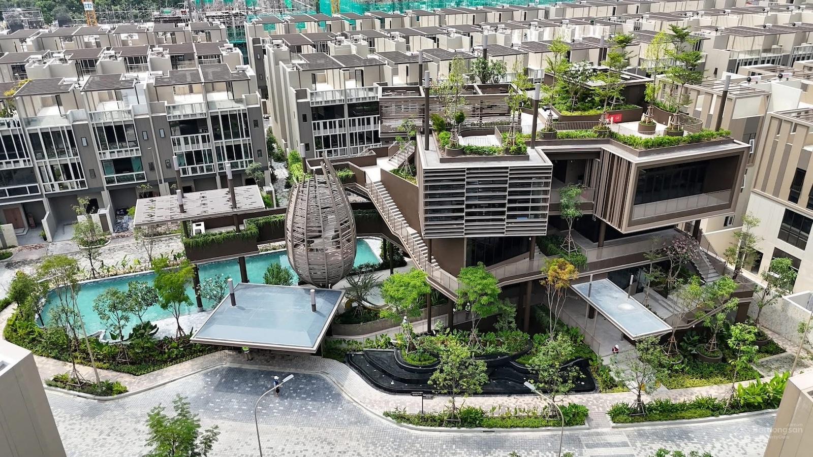 Lối đi nội khu dự án The Orchard Sycamore