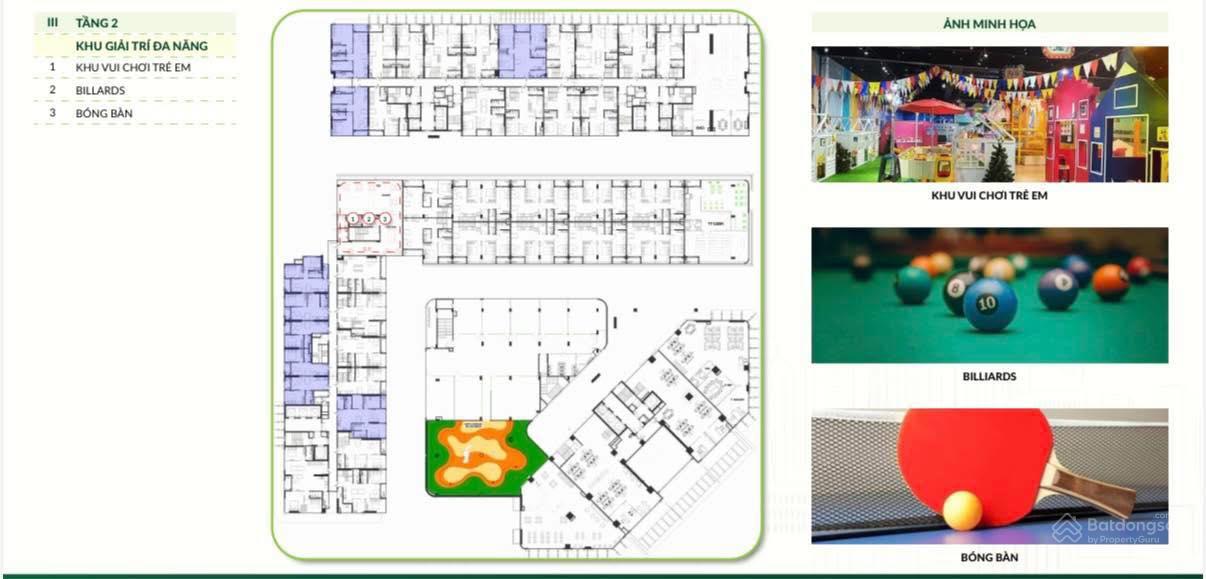 Khu vực hồ bơi và tiện ích