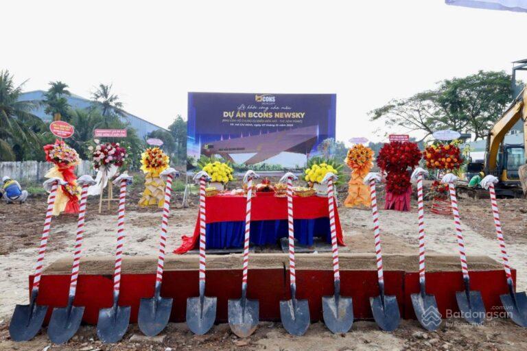 Cảnh quan cây xanh trong khuôn viên