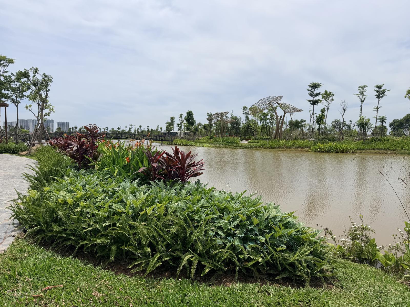 Alluvia City - Bán biệt thự đảo đơn lập khoáng nóng tại gia Alluvia City - 0862.366.568 - Ảnh 4
