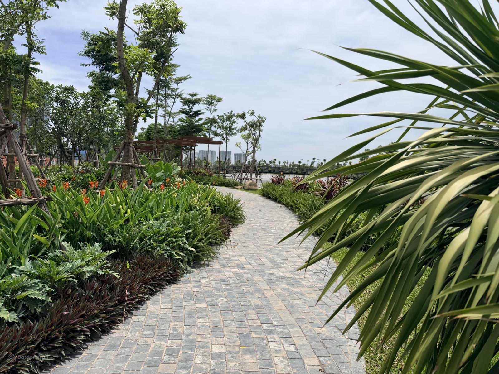 Alluvia City - Bán biệt thự đảo đơn lập khoáng nóng tại gia Alluvia City - 0862.366.568 - Ảnh 5
