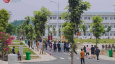 Ảnh đại diện