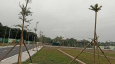 Ảnh đại diện