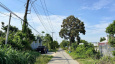 Ảnh đại diện
