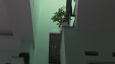 Ảnh đại diện