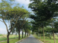 Ảnh đại diện
