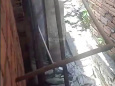 Ảnh đại diện