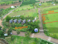 Ảnh đại diện