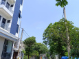 Ảnh đại diện