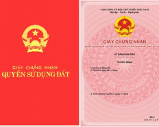 Ảnh đại diện
