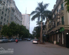 Ảnh đại diện