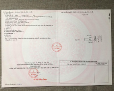 Ảnh đại diện
