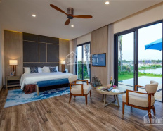 Ảnh đại diện