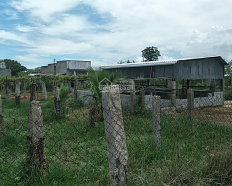 Ảnh đại diện