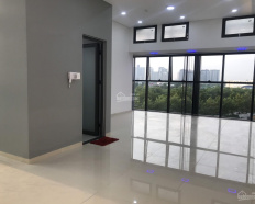 Ảnh đại diện