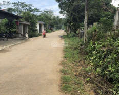 Ảnh đại diện