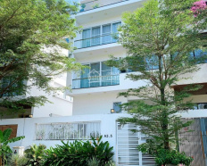 Ảnh đại diện