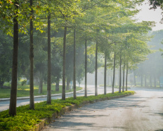 Ảnh đại diện