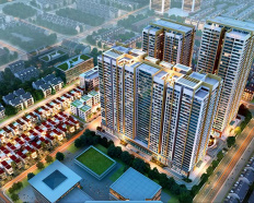 Ảnh đại diện