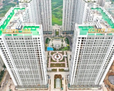 Ảnh đại diện