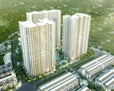 Ảnh đại diện