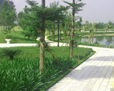 Ảnh đại diện