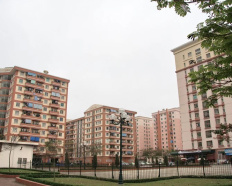Ảnh đại diện