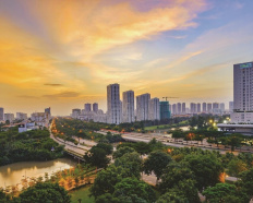 Ảnh đại diện