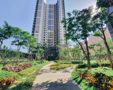 Ảnh đại diện