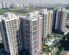 Ảnh đại diện