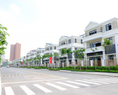 Ảnh đại diện