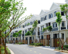 Ảnh đại diện