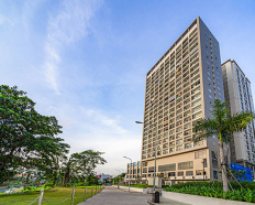Ảnh đại diện