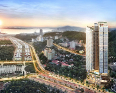 Ảnh đại diện