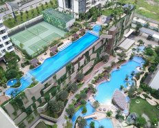 Ảnh đại diện