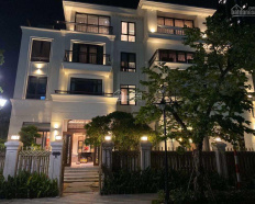 Ảnh đại diện