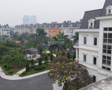 Ảnh đại diện