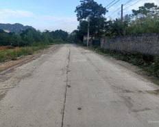 Ảnh đại diện