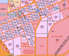 Ảnh đại diện