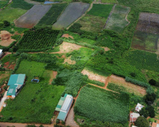 Ảnh đại diện